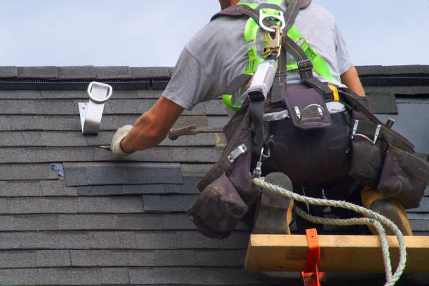 Best Roof Gutter Cleaning  in Bellwood, VA