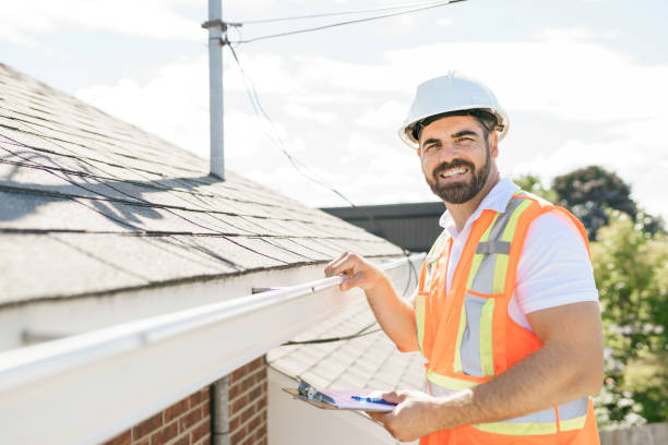 Roof Gutter Cleaning in Bellwood, VA