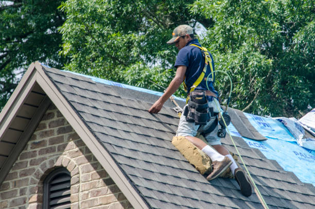 Best Metal Roofing Contractor  in Bellwood, VA
